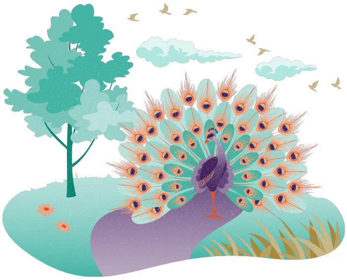 An illustration of a peacock, representing Hollard's campus, with a rich history, beautiful art, and indigenous gardens and peacocks.