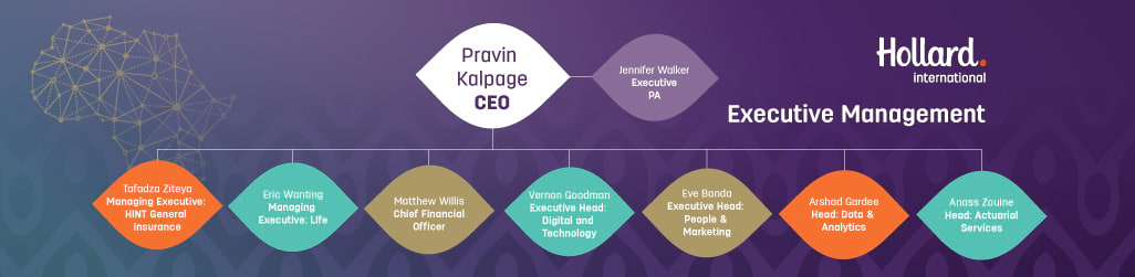 Organogram of Hollard International Executive Management